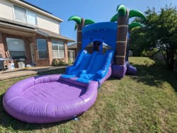 IMG 5434 1727803530 Enchanted Forest Bounce House Combo (Without Pool)