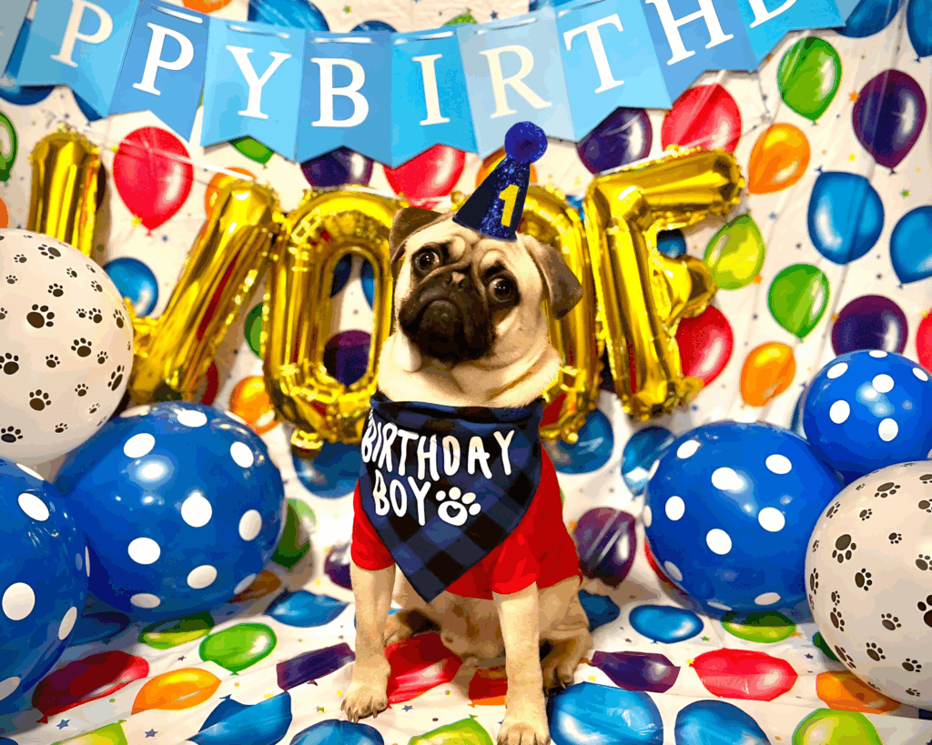 Bubba Birthday Home